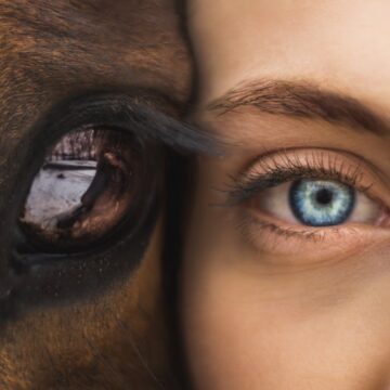 HIPOTERAPIA – CZY TERAPIA Z UDZIAŁEM KONI JEST SKUTECZNA?