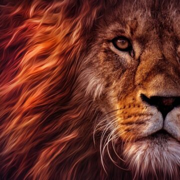 LEW – król wszystkich zwierząt